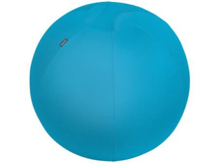 LEITZ Ballon d'assise Ergo Cosy, diamètre: 650 mm, bleu