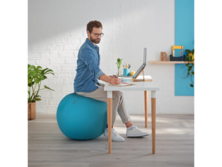 LEITZ Ballon d'assise Ergo Cosy, diamètre: 650 mm, bleu