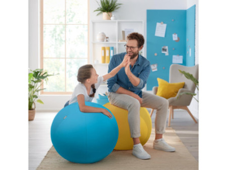 LEITZ Ballon d'assise Ergo Cosy, diamètre: 650 mm, bleu