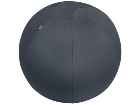 LEITZ Ballon d'assise Ergo Cosy, diamètre: 650 mm, gris