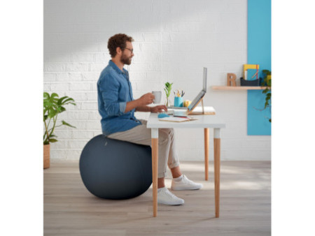 LEITZ Ballon d'assise Ergo Cosy, diamètre: 650 mm, gris