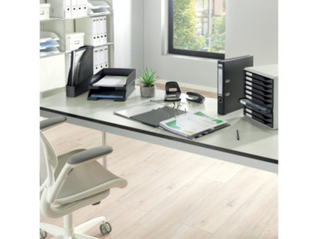 LEITZ Module de classement formulaires,10 tiroirs,gris/noir