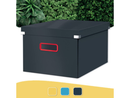 LEITZ Boîte de rangement Click & Store Cosy M, gris