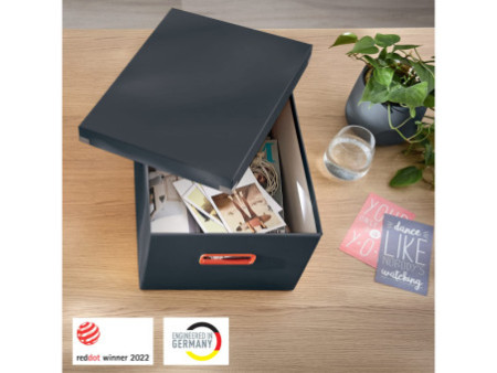 LEITZ Boîte de rangement Click & Store Cosy M, gris