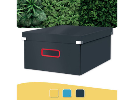 LEITZ Boîte de rangement Click & Store Cosy L, gris