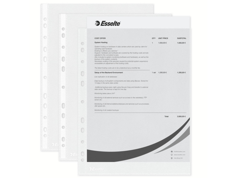 Esselte Pochette perforée Economy, A4, PP, grainé