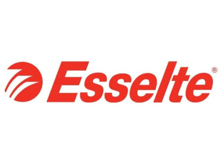 Esselte Porte-revues VIVIDA, A4, carton, gris, dos: 70 mm