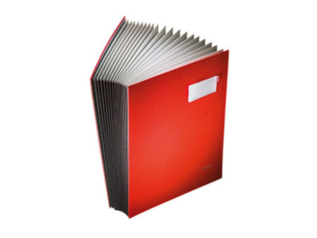 LEITZ parapheur, revêtement en PP, 20 compartiments, gris