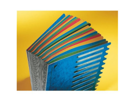 LEITZ Trieur Deskorganizer Color, format A4, 1-24/A-Z, noir