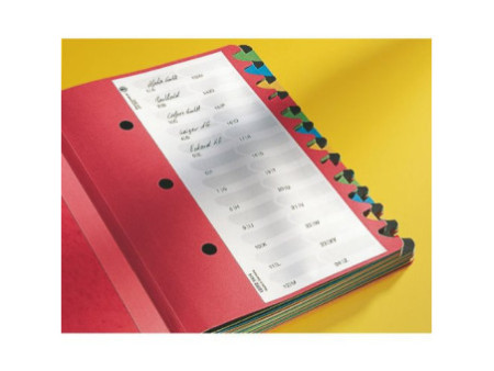 LEITZ Trieur Deskorganizer Color, format A4, 1-24/A-Z, noir