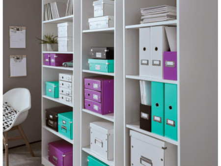 LEITZ Boîte de rangement Click & Store WOW, A4, menthe