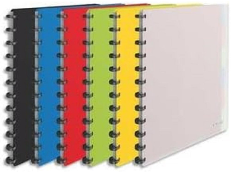Esselte Protège-documents VIVIDA, A4, 25 pochettes, assorti