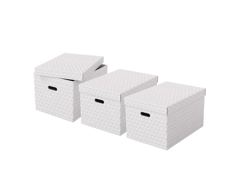 Esselte Boîte de rangement Home L, set de 3, blanc