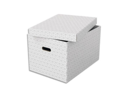Esselte Boîte de rangement Home L, set de 3, blanc