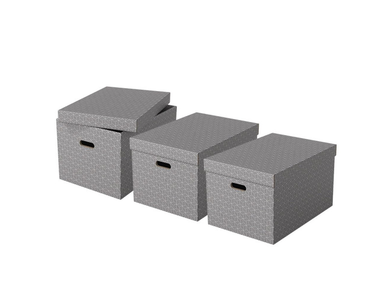Esselte Boîte de rangement Home L, set de 3, gris