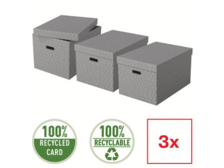 Esselte Boîte de rangement Home L, set de 3, gris