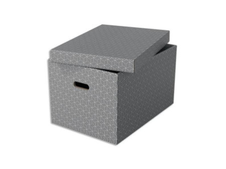 Esselte Boîte de rangement Home L, set de 3, gris