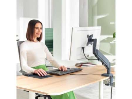 LEITZ Bras simple pour écran Ergo, gris velours