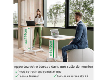 LEITZ Bureau assis-debout Ergo Compact, avec roulettes,blanc