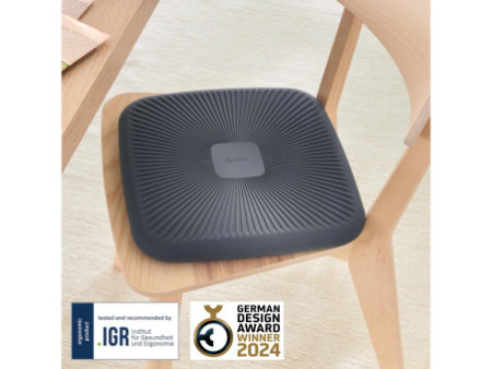 LEITZ Coussin d'assise Ergo Active Balance, gris foncé