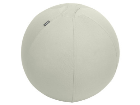 LEITZ Ballon d'assise Ergo Active, diamètre: 550 mm, gris