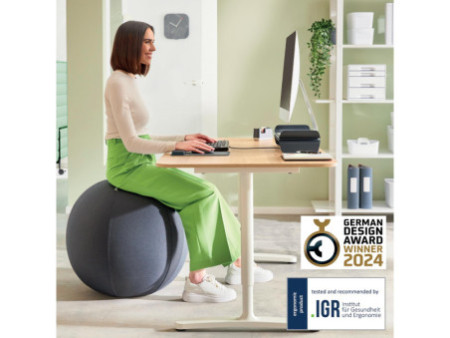 LEITZ Ballon d'assise Ergo Active, diamètre: 550 mm, gris
