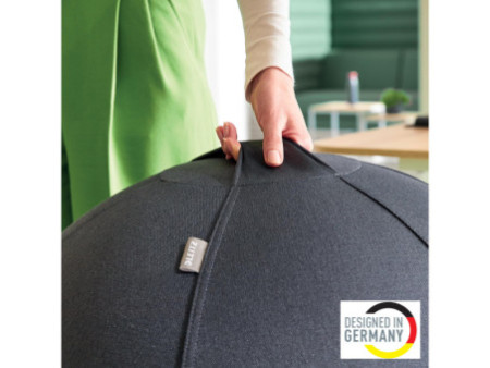 LEITZ Ballon d'assise Ergo Active, diamètre: 550 mm, gris