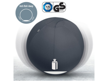 LEITZ Ballon d'assise Ergo Active, diamètre: 550 mm, gris