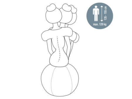 LEITZ Ballon d'assise Ergo Active, diamètre: 550 mm, gris