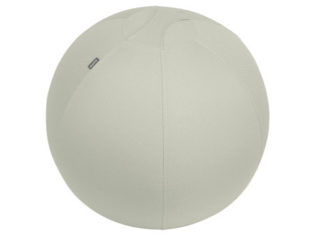LEITZ Ballon d'assise Ergo Active, diamètre: 650 mm, gris