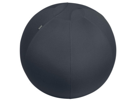 LEITZ Ballon d'assise Ergo Active, diamètre: 650 mm, gris