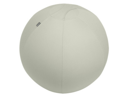 LEITZ Ballon d'assise Ergo Active, diamètre: 750 mm, gris