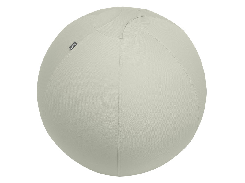 LEITZ Ballon d'assise Ergo Active, diamètre: 750 mm, gris