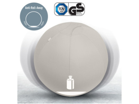LEITZ Ballon d'assise Ergo Active, diamètre: 750 mm, gris