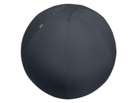 LEITZ Ballon d'assise Ergo Active, diamètre: 750 mm, gris