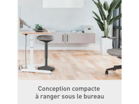 LEITZ Tabouret assis-debout Ergo Active, assise confort,gris