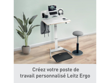 LEITZ Panneau organiseur de bureau, grand, blanc