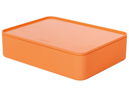 HAN Boîte de rangement SMART-ORGANIZER ALLISON, apricot