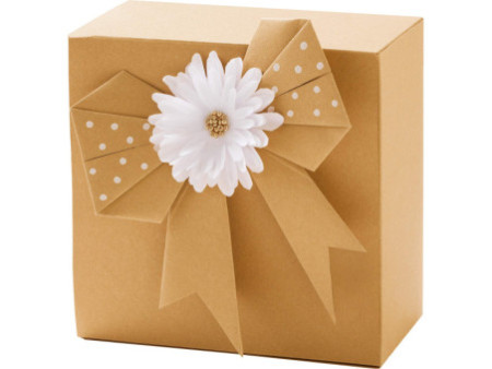 folia Papier kraft, 230 g/m2, A4, 50 feuilles