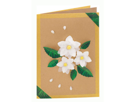 folia Carte double, 105 x 150 mm, 220 g/m2, brun kraft