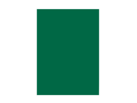 folia Papier de couleur, A3, 130 g/m2, vert sapin