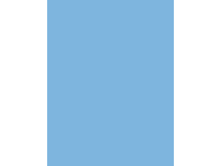 folia Carton de bricolage, (L)1.000 x (H)700 mm, pacifique