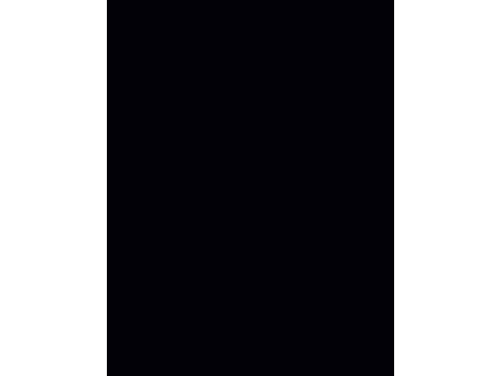 folia Carton de bricolage, (L)1.000 x (H)700 mm, noir