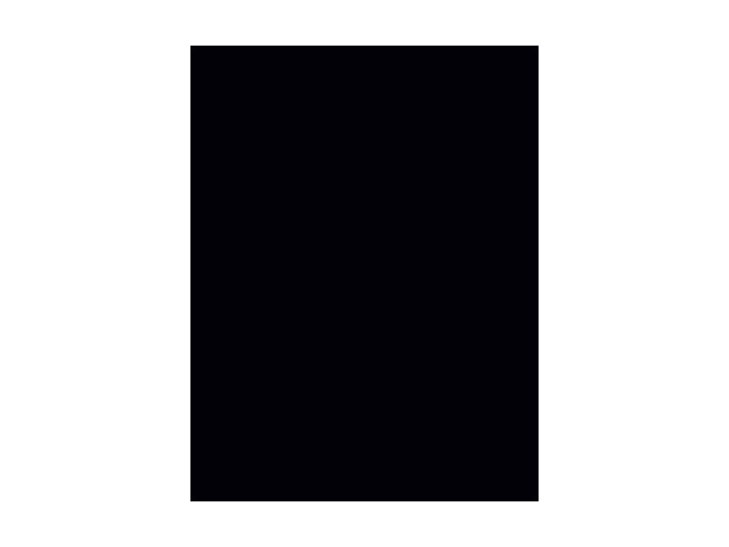 folia Carton de bricolage, (L)1.000 x (H)700 mm, noir