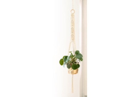 folia Kit macramé URBAN JUNGLE, 7 pièces