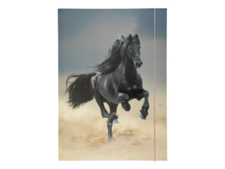 folia Pochette de rangement à dessins BASIC 'Black Horse',A3
