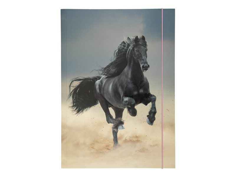 folia Pochette de rangement à dessins BASIC 'Black Horse',A3