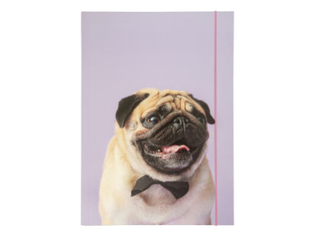 folia Pochette de rangement à dessins BASIC 'Puggy Love', A3