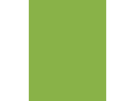folia Papier de couleur, (L)500 x (H)700 mm, vert clair