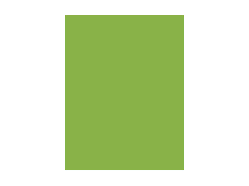 folia Papier de couleur, (L)500 x (H)700 mm, vert clair